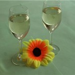 Superplastifiant polycarboxylate